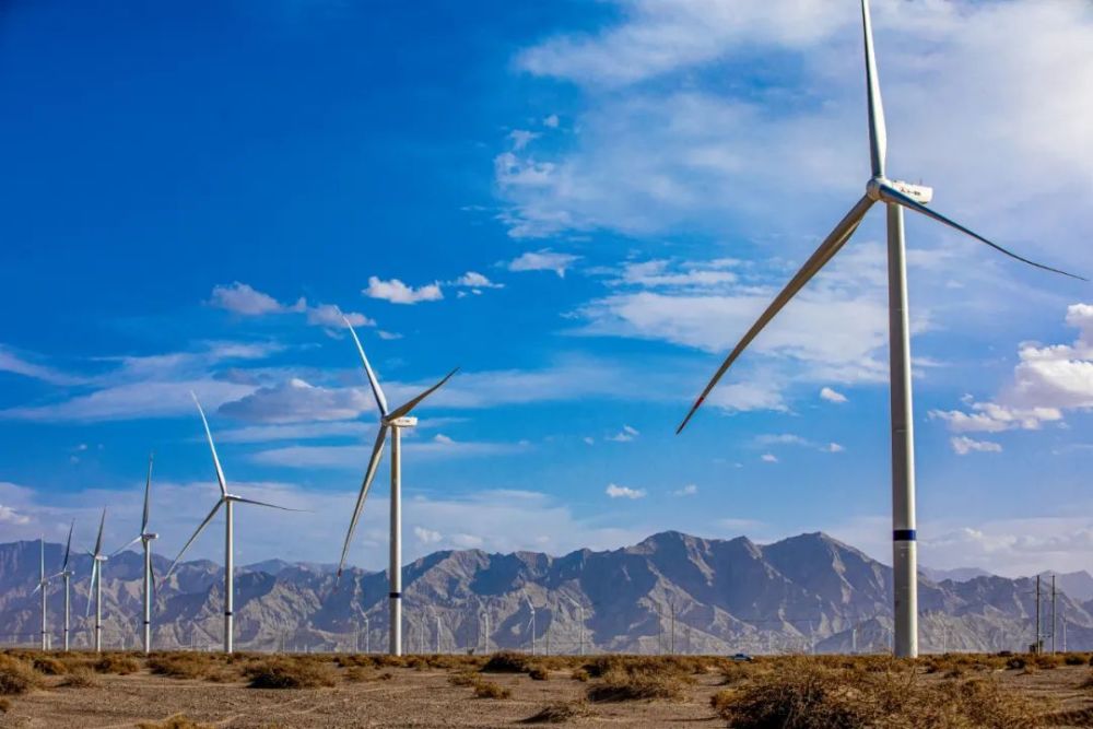 1689150500919804.jpeg 4.jpeg