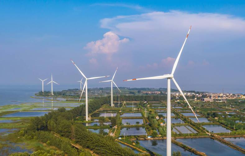 1689150882999105.jpeg 7.jpeg