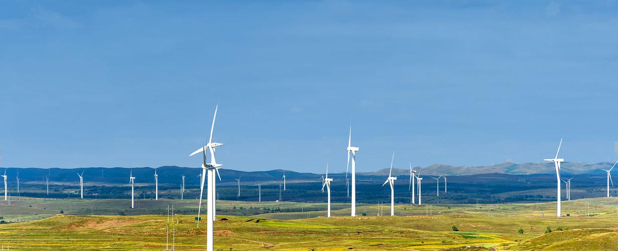 1700788903771277.jpeg 44.jpeg